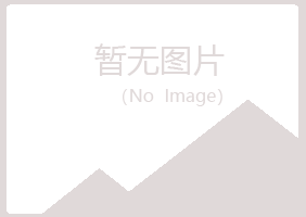 阳春夏岚水泥有限公司